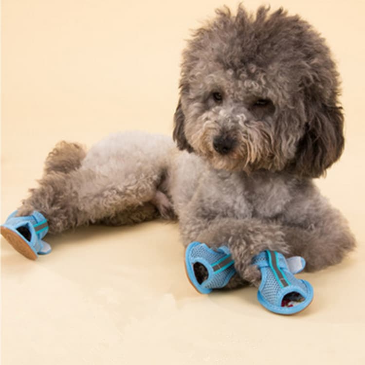 Manufacturers supply pet shoes beef mesh sandals dog shoes dog sandals manufacturers