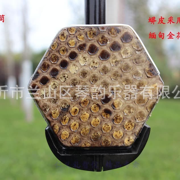 Colored and white wood erhu for beginners, available for wholesale and retail from manufacturer