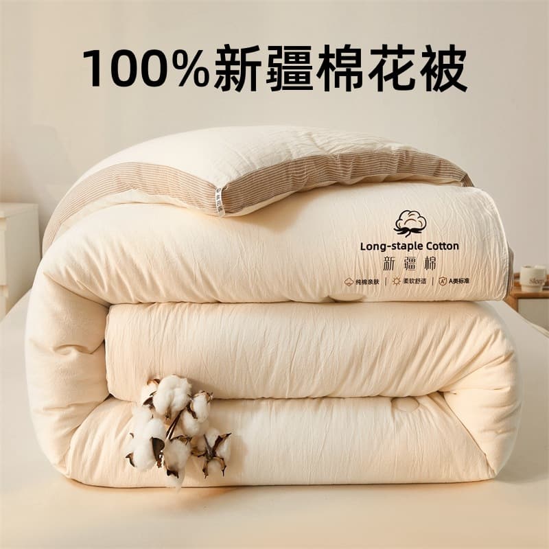 Class A 100% Xinjiang Cotton Quilt Autumn/Winter Extra Warmth Warm Winter Quilt Minimalist Style 3D Quilt Core Dormitory Spring/Autumn Quilt