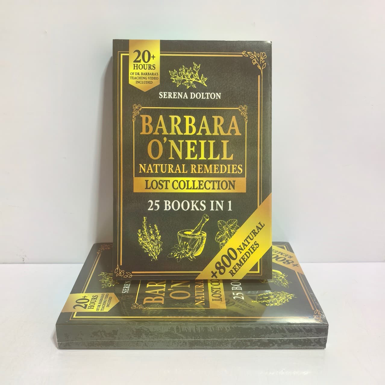 The Lost Book of Herbal Remedies: English Edition on Chinese Herbal Medicine Care