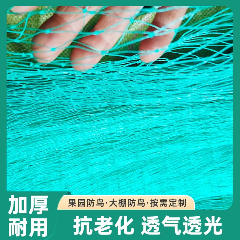 PE Bird Netting for Orchards, Thickened and Reinforced, Cross-border Climbing and Vine Protection Mesh