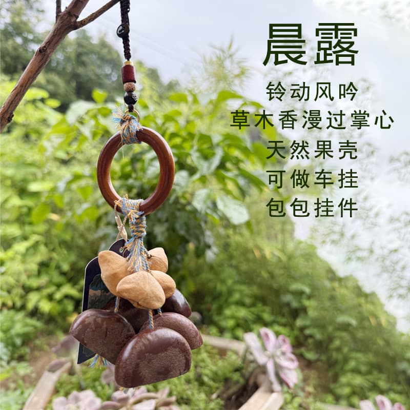 Finished fruit rattle, handmade wish-fulfilling shell hanging bell, natural instrument for sound therapy, hand rattle, bag charm, car pendant