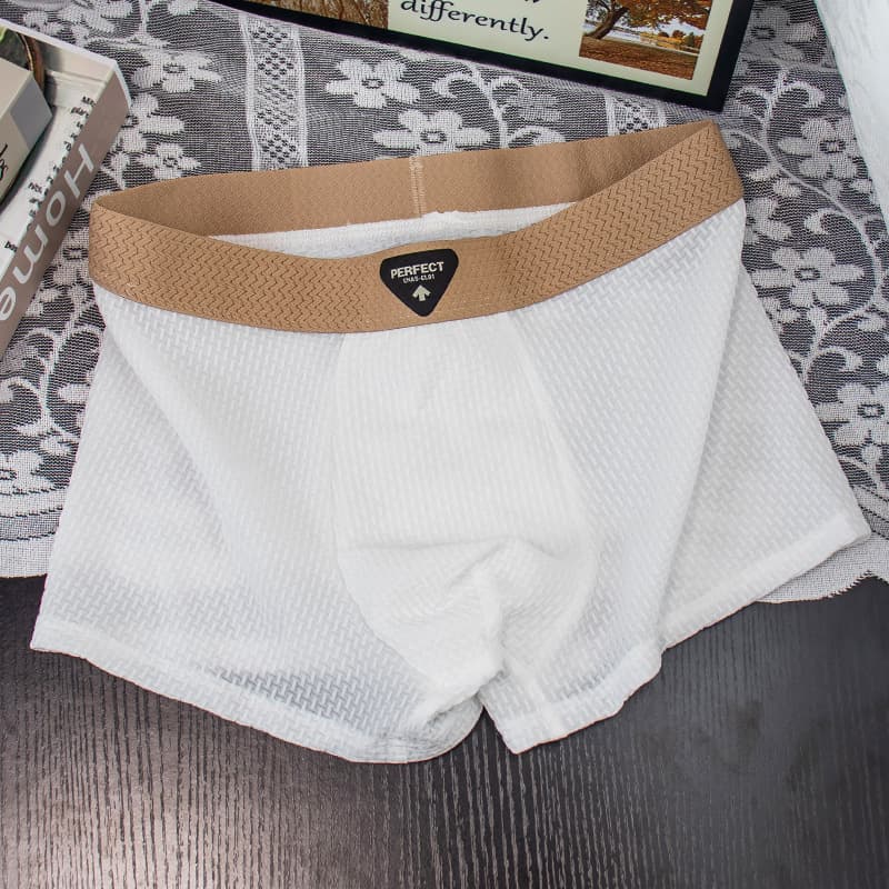 Cross-border Men's Ice Silk Boxer Briefs Mesh Jacquard Comfortable Breathable Sports Trunks Solid Retro Four-Corner Underpants
