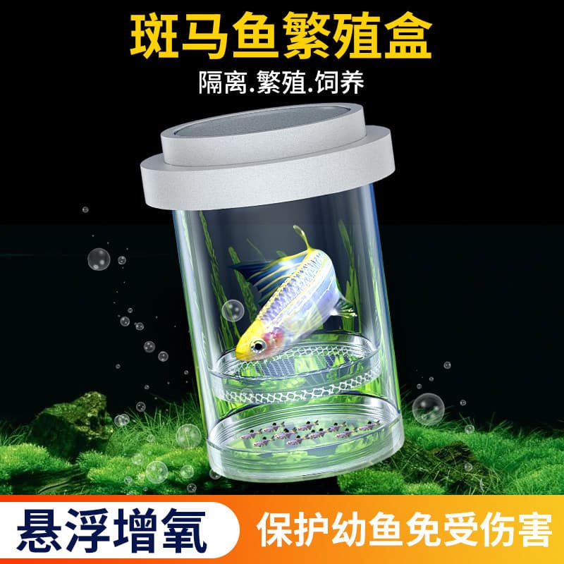 Zebrafish Hatching Box Aquarium Isolation Box Tropical Fish Fry Incubator Small Fish Breeding Hatchery Isolation Box