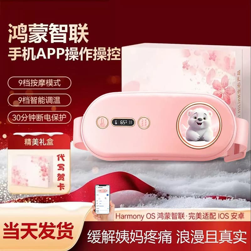 Electric Heating Uterus Warming Belt - Rechargeable Period Essential for Women, Heat Massage Waistband for Uterine Health