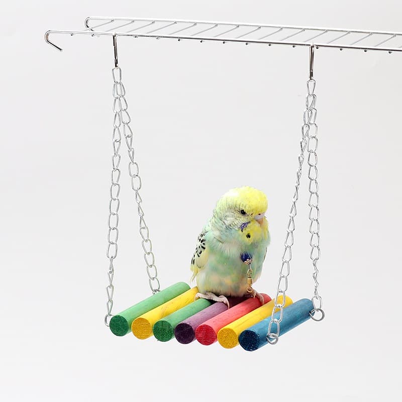Peony Tiger Skin Black Phoenix Pepper Wood Toy Ladder Climbing Ladder Swing Ring Ladder Chewing Climbing Supplies Bird Suspension Bridge