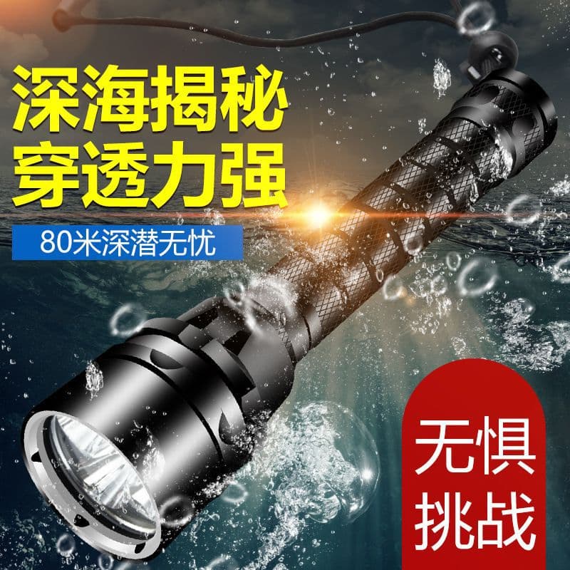 Diving Flashlight Waterproof Underwater LED Super Bright High Power Night Diving Fishing Light for Fish, Mudfish, Loach, Eel W
