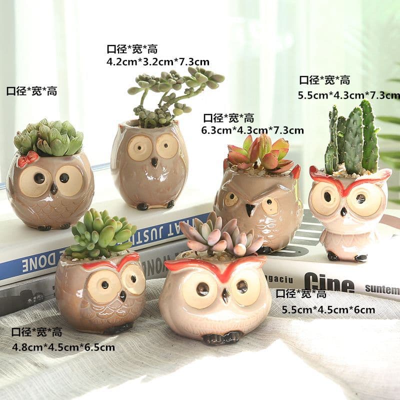 Factory Direct Cartoon Animal Flower Pot Creative Home Use Breathable Large and Small Diameter Succulent Plant Pot Wholesale TEMU