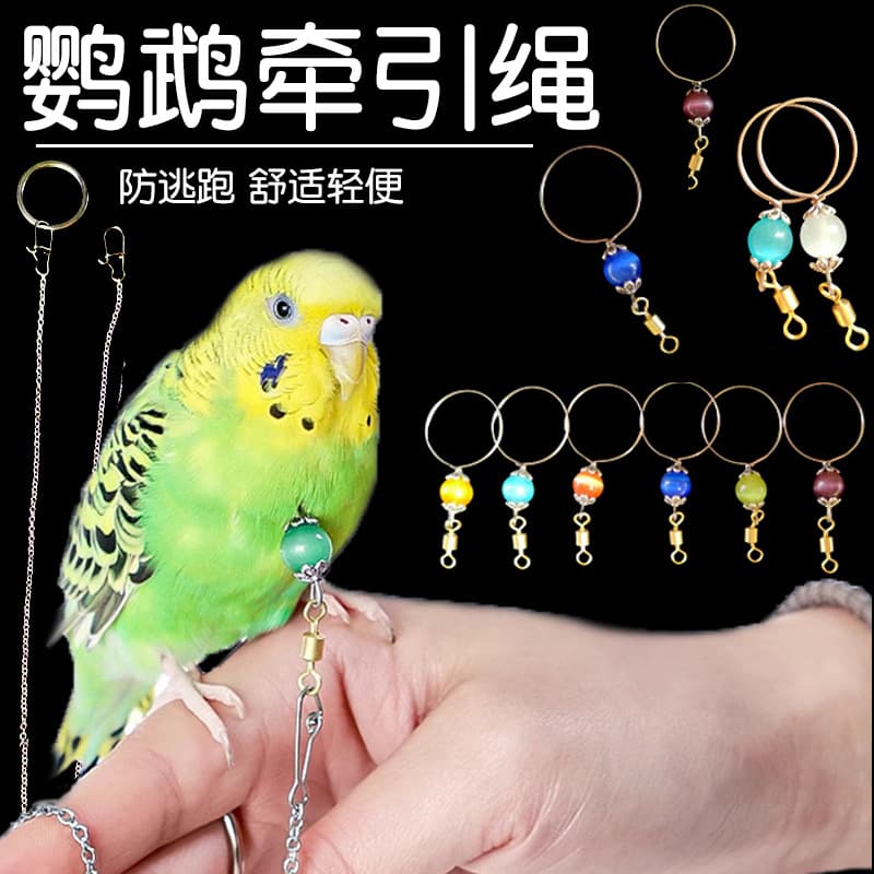 Parrot Leash Necklace Stainless Steel Flying Rope Cockatiel Budgie Myna Foot Chain Bird Training