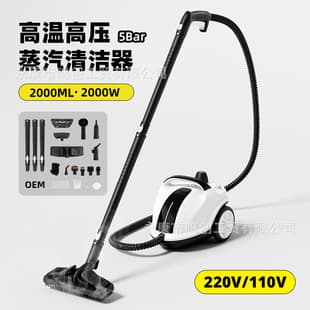 Cross-border New 2L High-Temperature Steam Cleaner Car Film Steam Interior Multi-Function Cleaning Machine EU/UK/US Standard