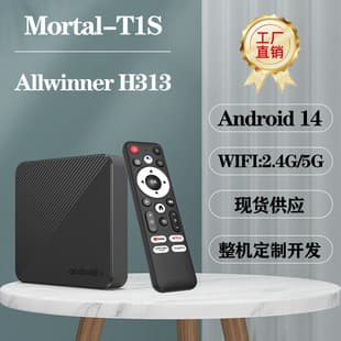 New T1S Android 14 SK3518 Network TV Box Dual WiFi HD 4K Export Player