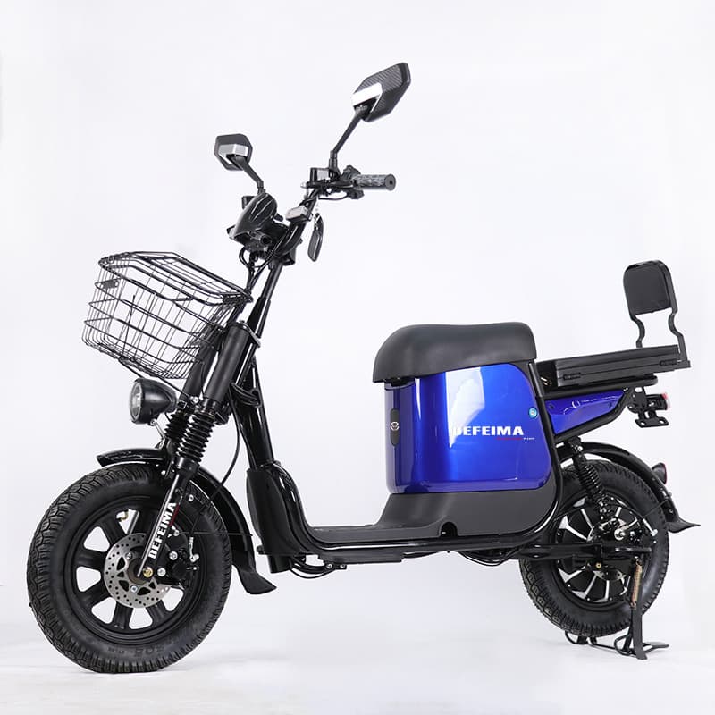 3.0-1216 inch 00W Electric Bicycle Monster 48V Export Harley Load King Electric Bike for Food Delivery