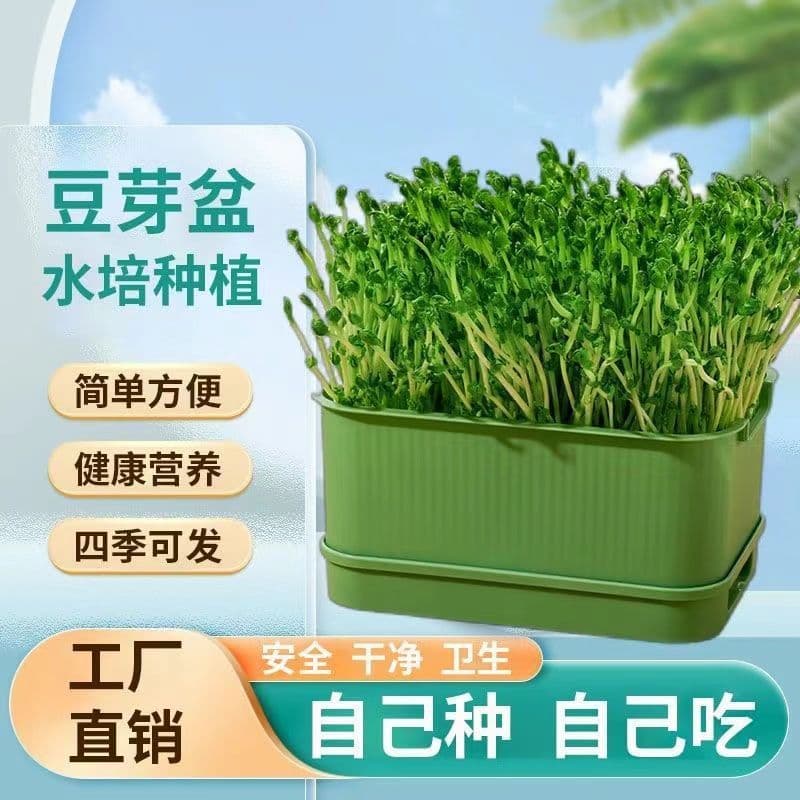 Seedling Tray for Home Use, DIY Bean Sprout Germination Pot, Specialized for Soy and Mung Beans