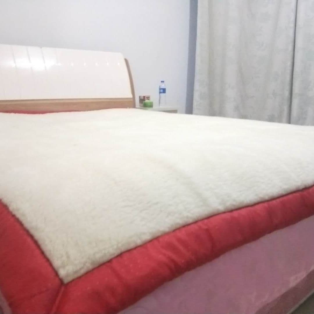 Inner Mongolia Genuine Wool Mattress Wool Quilt Winter Thickened Wool Quilt Wool Pad