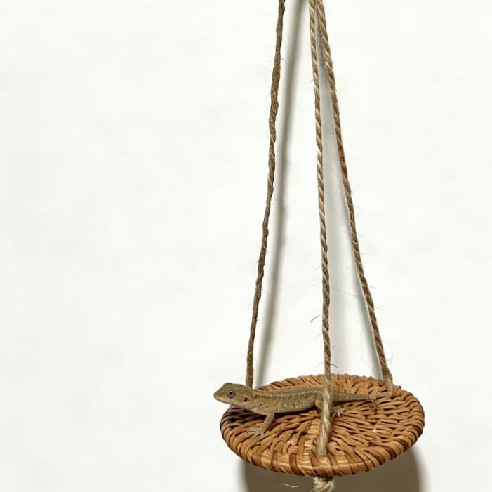 New Lizard Sleeping Bed Hammock Reptile Cotton Nest Chameleon Hamster Chinchilla Squirrel Snake Parrot Pet Supplies Swing