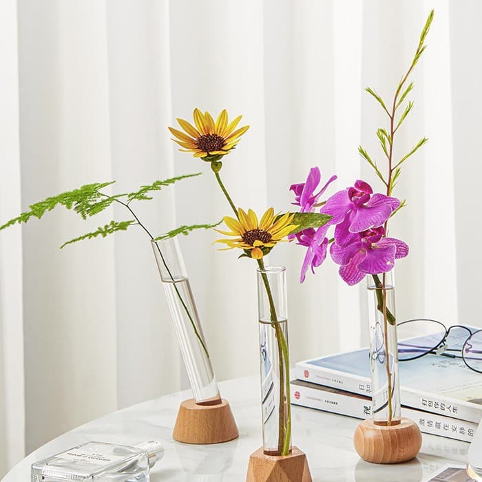 Hydroponic Vase Glass Vase with Wooden Base Creative Home Decoration Nordic Simple Home Decorative Ornament