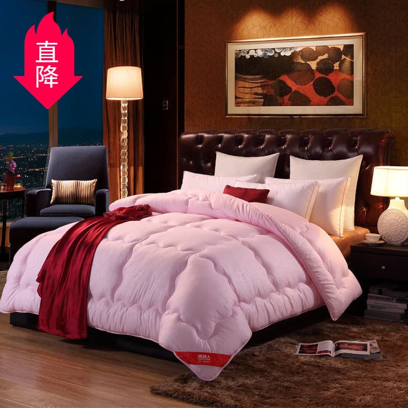 Quilt spring and autumn quilt core cotton quilt single dormitory double air-conditioned quilt winter quilt soft and warm