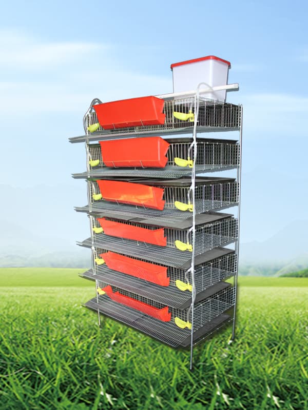 Quail Breeding Cage Row Cage H-Type Vertical Cage 6 Layers with Automatic Manure Removal, Feeding, and Drinking System, Multi-Layer Brooding Cage