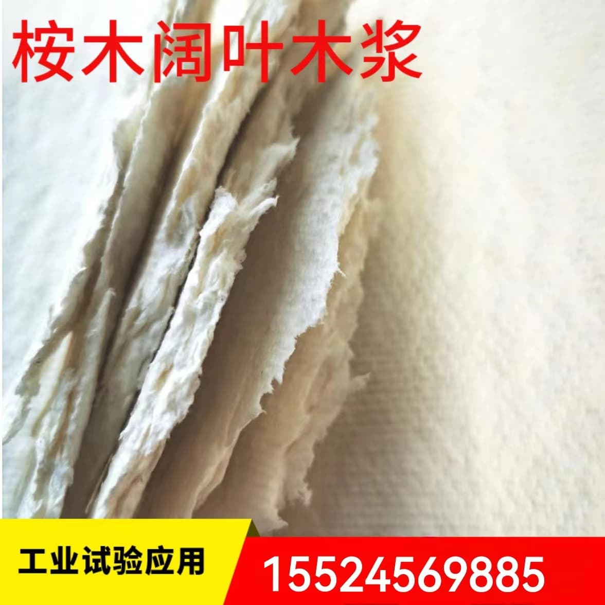 Hardwood pulp, broadleaf pulp, eucalyptus wood pulp with good fiber uniformity, high whiteness, strong stiffness, short fibers