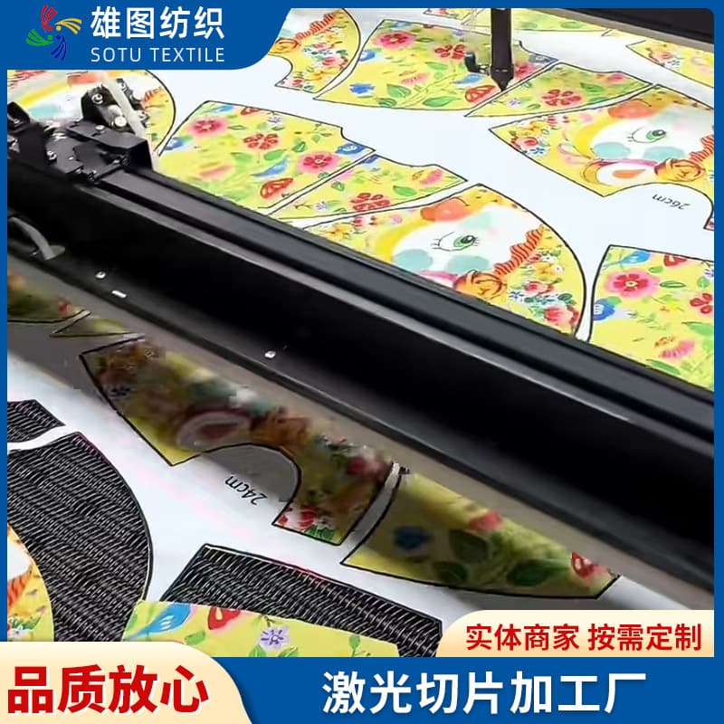 Custom laser slicing for garment cutting, perforation, engraving, and camera-positioned slicing.