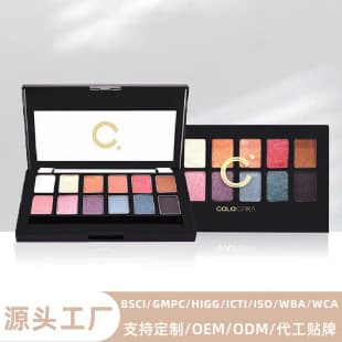 Eyeshadow Palette OEM Custom Eye Makeup Palette Cross-border Fine Shine Matte Earth Tone White Label 12 Color Pearl Eyeshadow