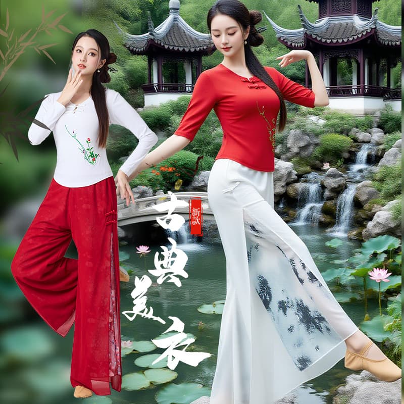 Chinese Style Autumn New Square Opening Dance Costume Top Slim Frog Button Dance Clothes Embroidered Short Sleeve Elegant