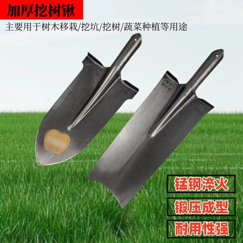 Factory direct supply of manganese steel, quenched and ready for shipment. Suitable for use as shovels for transplanting seedlings, digging trenches, gardening, wooden-handled pointed shovels, and turning soil.