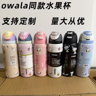 Cross-Border Owalaoz Style Fruit Cup, Snoopy Fruit Cup, Trendy Insulated Mug Cold Water Cup, Straw Direct Drink