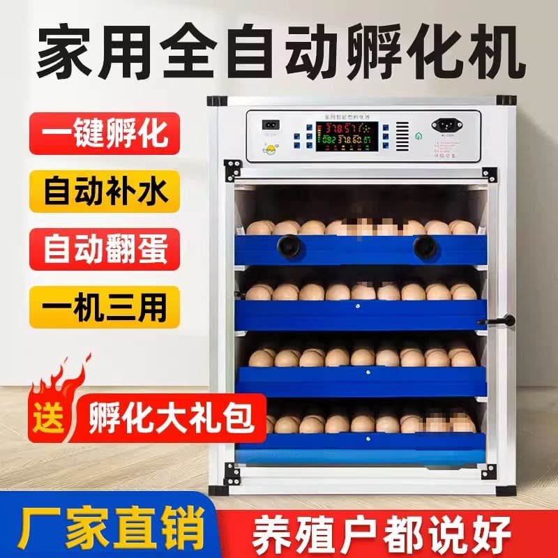 Egg Incubator for Hatching, Small to Medium Home Use, Fully Automatic, for Quail, Chicken Eggs, Incubation Box
