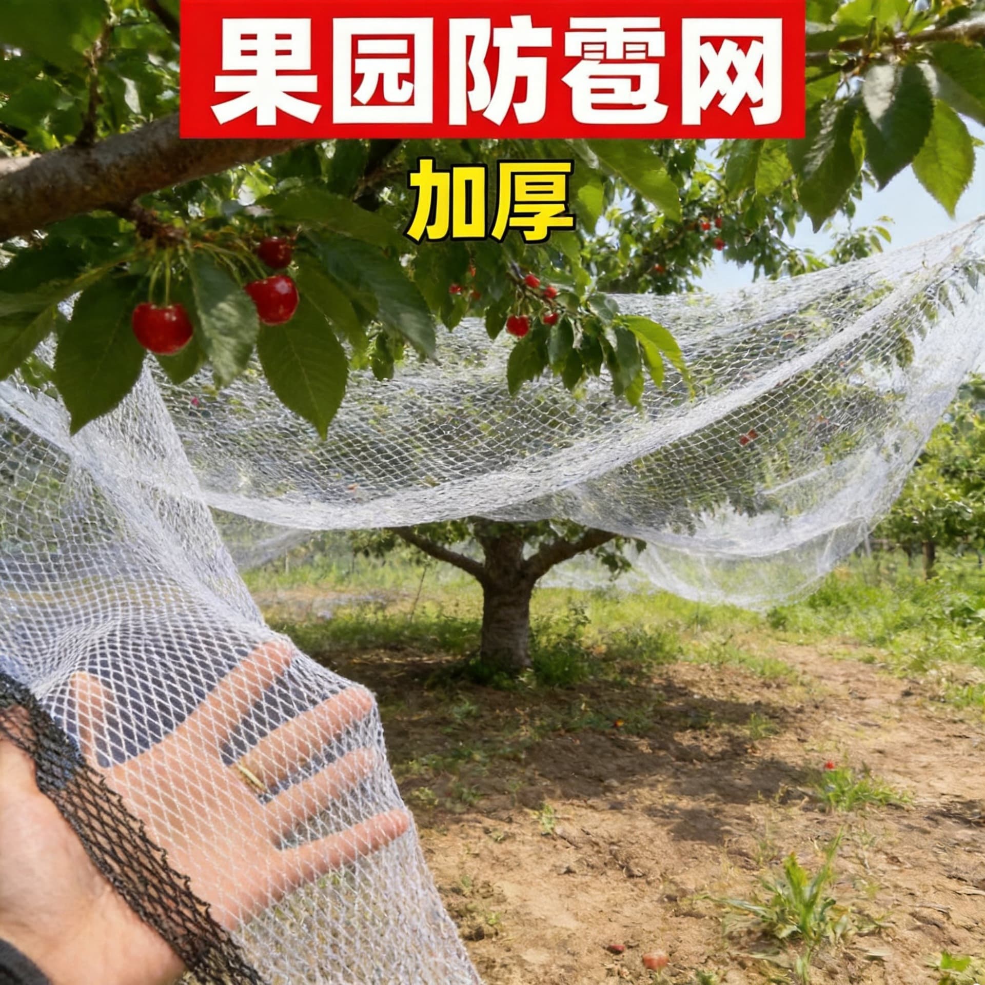 Hail Net Farmland Fruit Vegetable Cherry Fruit Tree Flower Bed Bird Net Agricultural Protective Net Greenhouse Orchard Use Bird Net