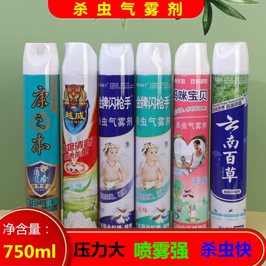 Summer Hot Selling Insecticide Spray Wholesale Mosquito Killer Aerosol Spray