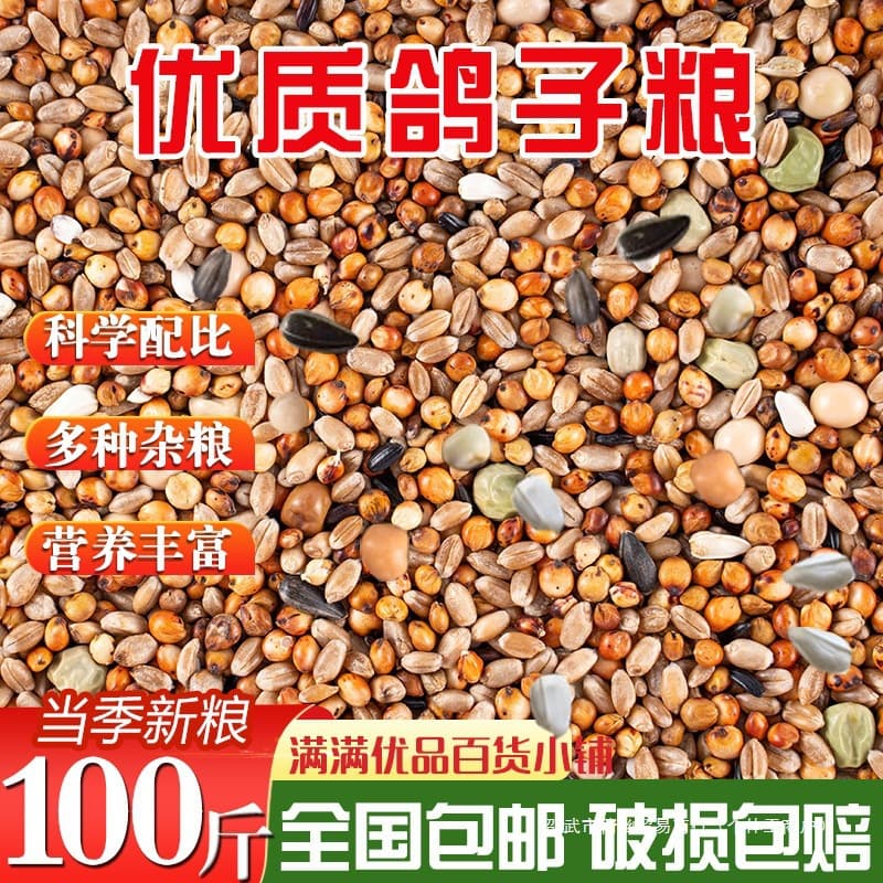 Pigeon Feed Without Corn Pigeon Grain Nutritious Feed Bird Food Ornamental Pigeon Meat Pigeon Young Pigeon Adult Pigeon Grain