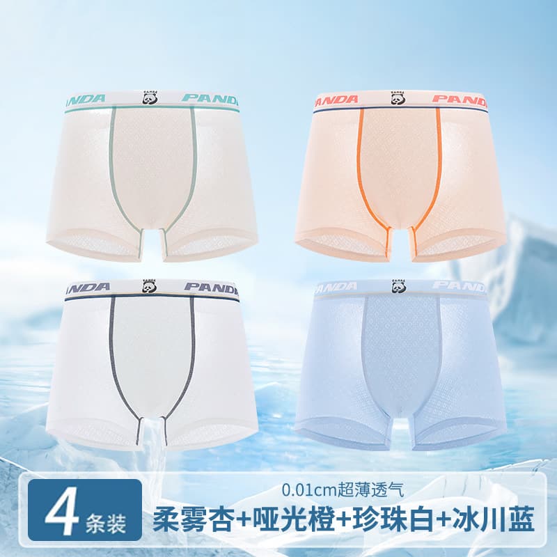 Teen Boys' Real Ice Silk Nylon Underwear Plus Size Middle School Students 100A Antibacterial Mulberry Silk Boxer Briefs