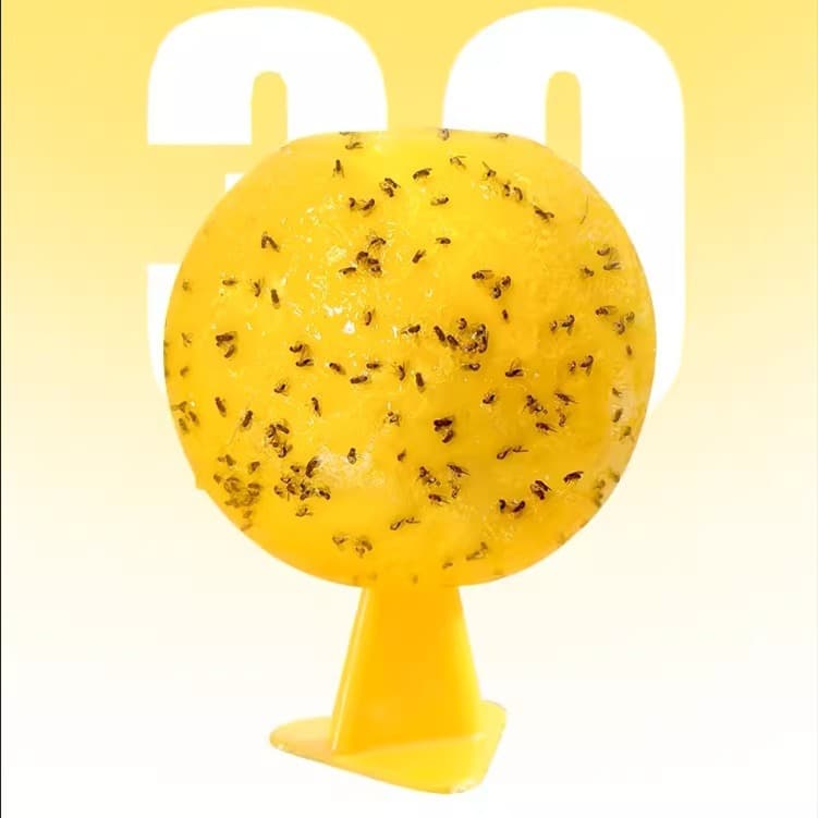 Fly traps with bases, sticky insects for kitchen and bathroom, supports labeling, dropshipping, independent packaging, cross-border hot products