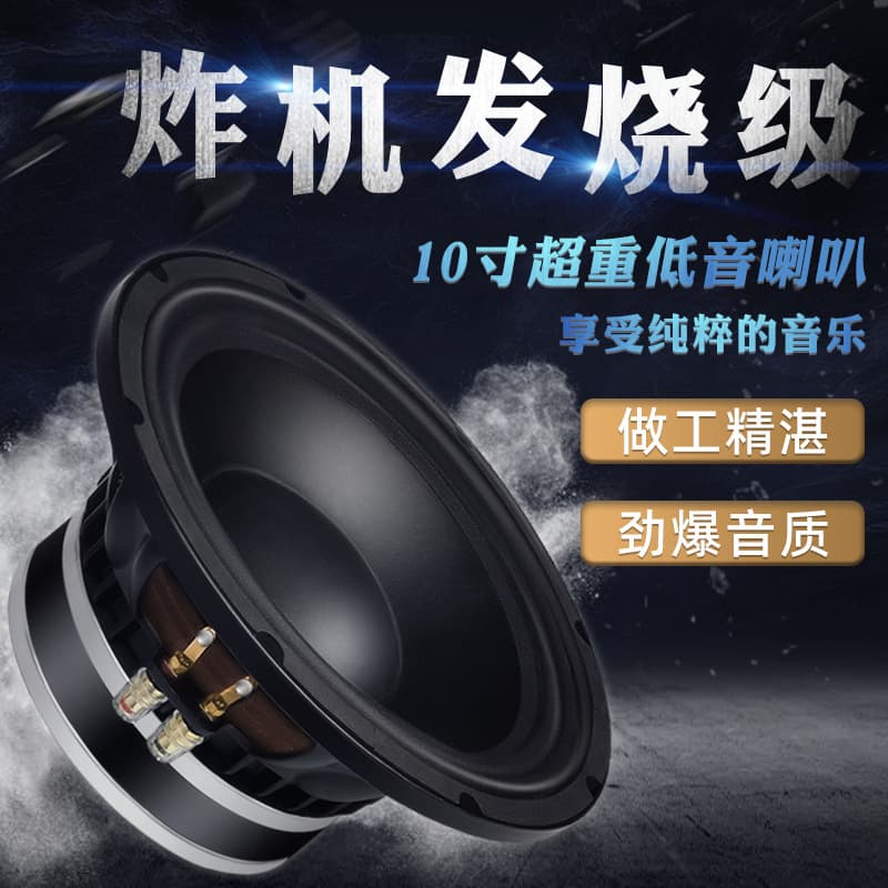 Jinggeyuan 10-inch Dual Magnet Speaker with Inner and Outer Voice Coil, 800W Professional High-Power Ultra Heavy Bass Sound Box Speaker