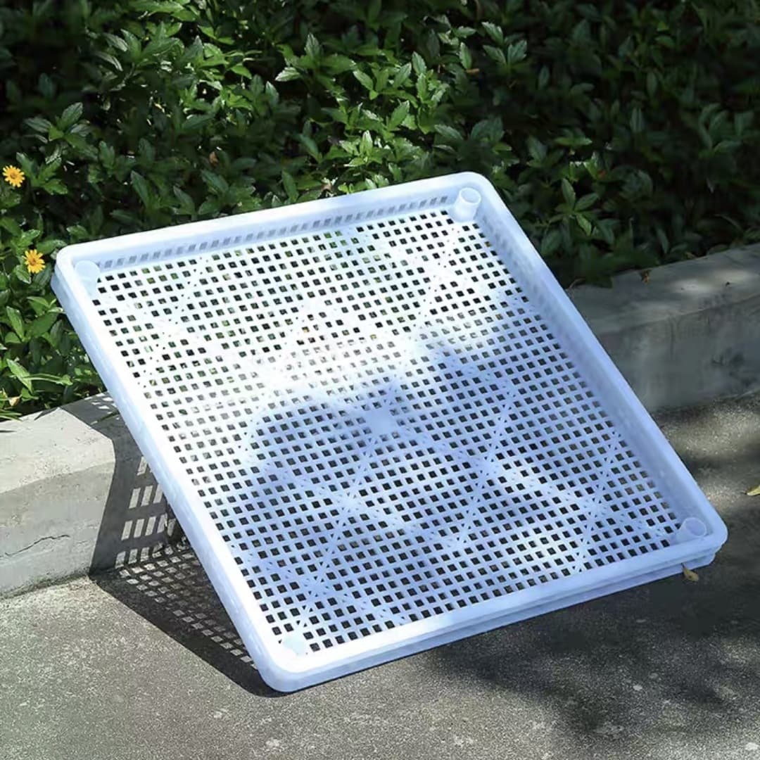 White Drying Mesh Single Freezer Frozen Basket, Ventilated Drying for Nuts and Seafood, Food-Grade Plastic Manufacturer Wholesale