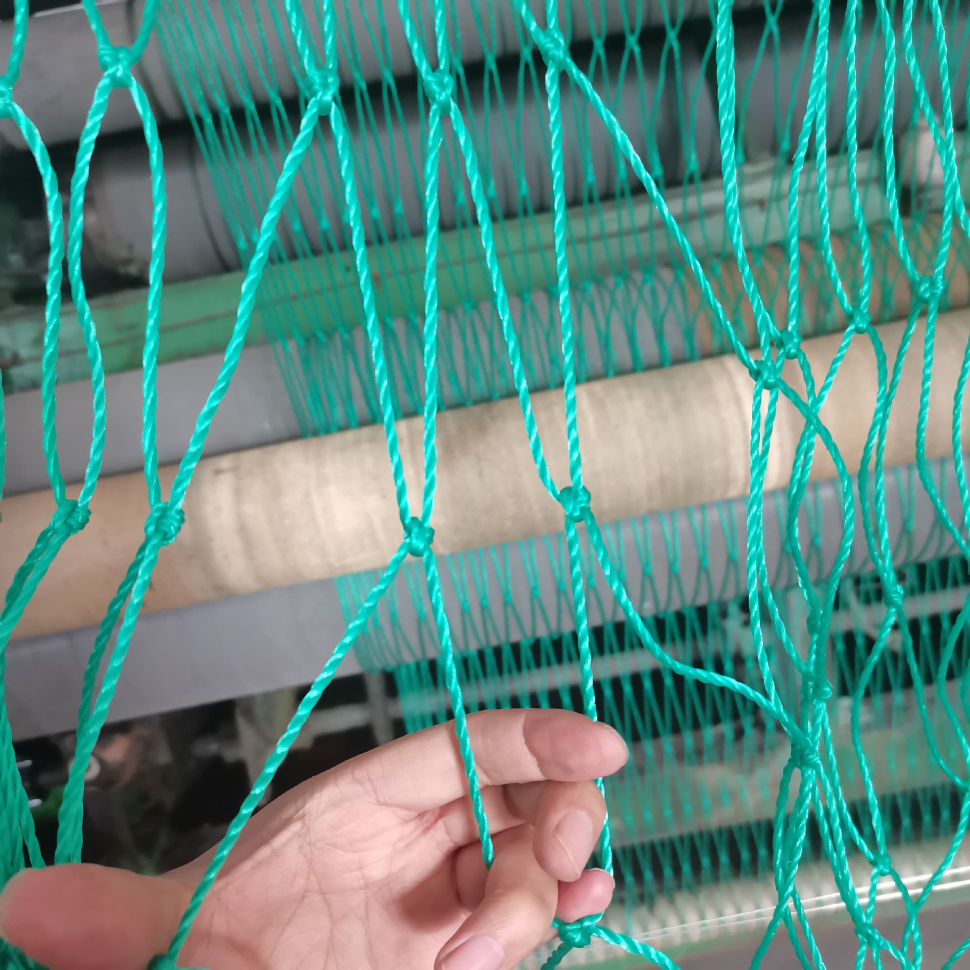 Crop climbing frame, special climbing net for agricultural plants, climbing net | bracket net | cucumber, string bean, bitter melon and loofah