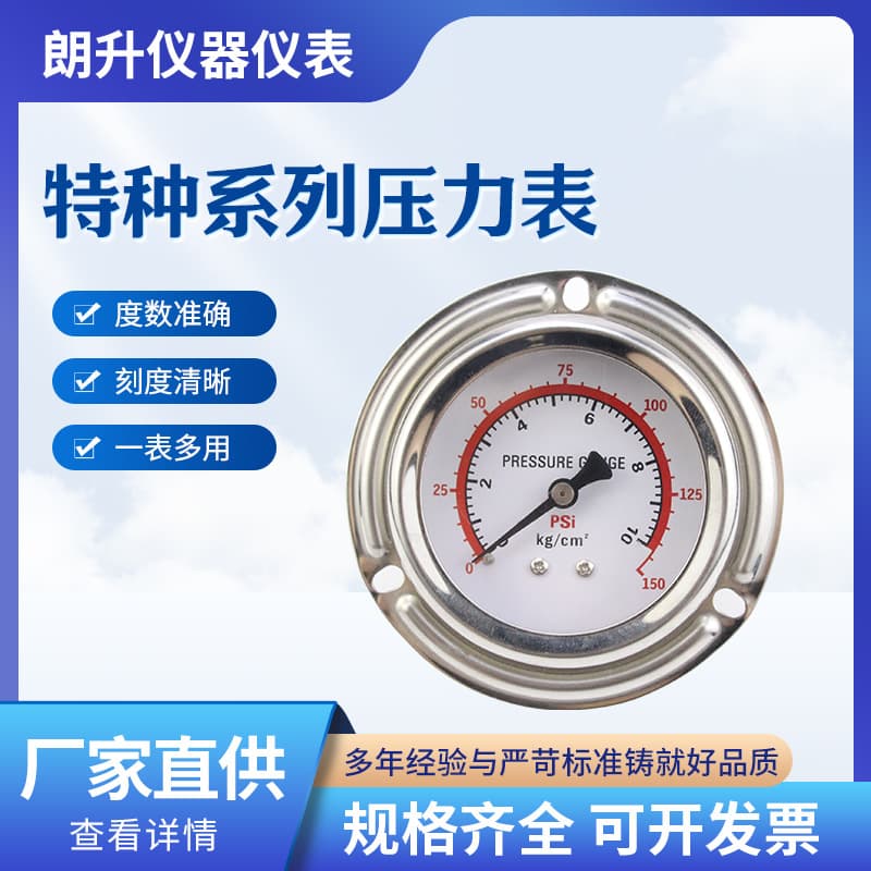 Y63 Special Pressure Gauge, Stainless Steel Pressure Instrument, Durable Pointer Pressure Gauge for Water, Oil, and Negative Pressure