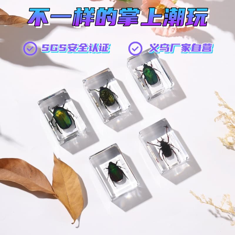 Zhenfang Arts & Crafts Factory operates its own insect specimen collection platform, offering dropshipping and order fulfillment services for primary, secondary, and high school students, as well as other educational and science-related products.