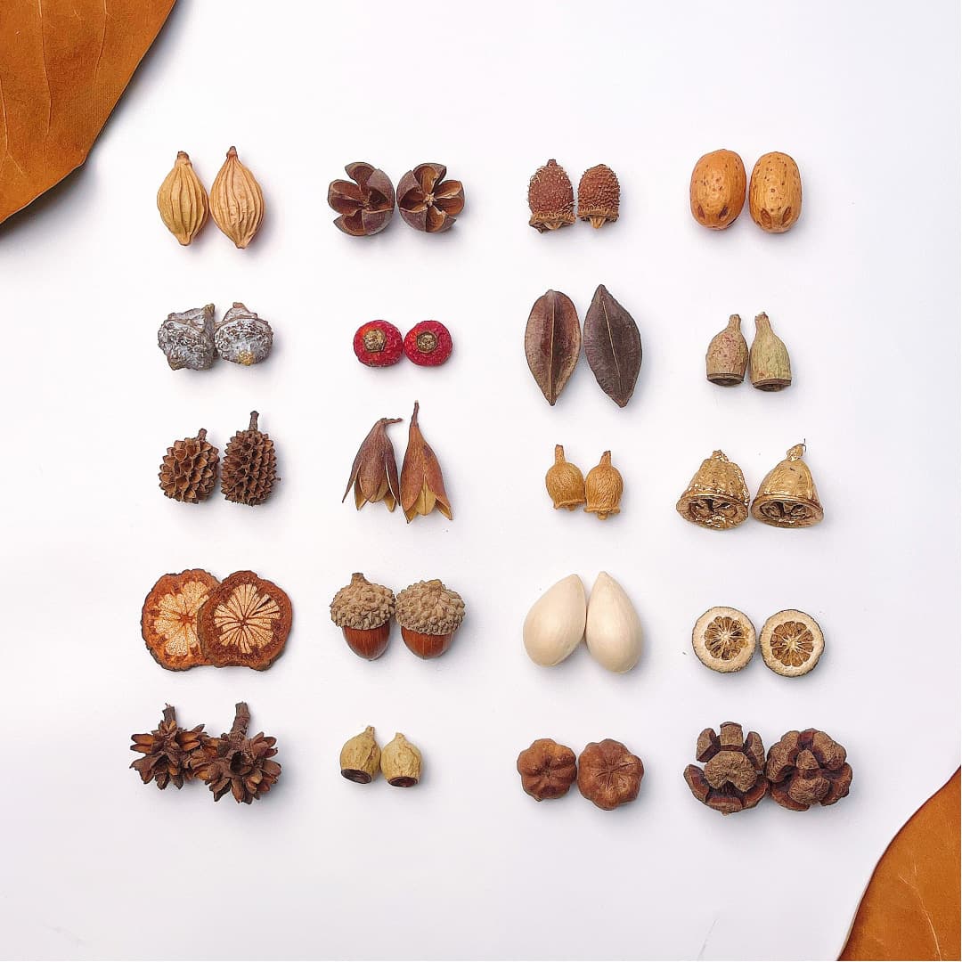 Natural Plant Earrings Acorn DIY Creative Fruit Earring Material Cute Girl Rich Earrings