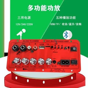 Benlei Bluetooth Car Audio Speaker Board Mono 100W DIY Amplifier HiFi Sound Quality Amplifier