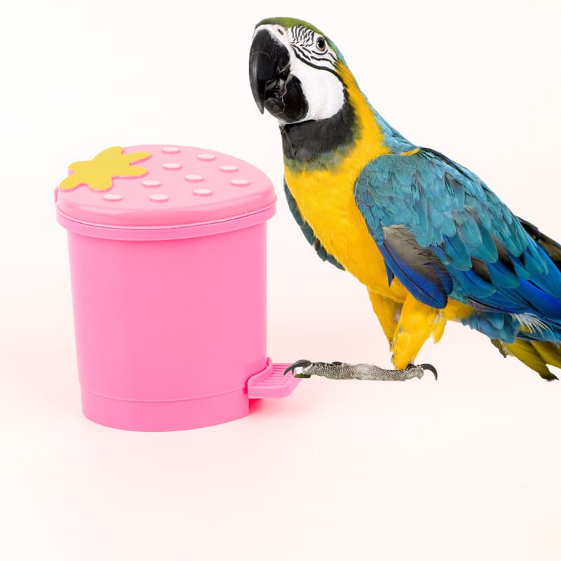 Parrot Puzzle Toy Pet Training Toy Bird Supplies Parrot Training Toy