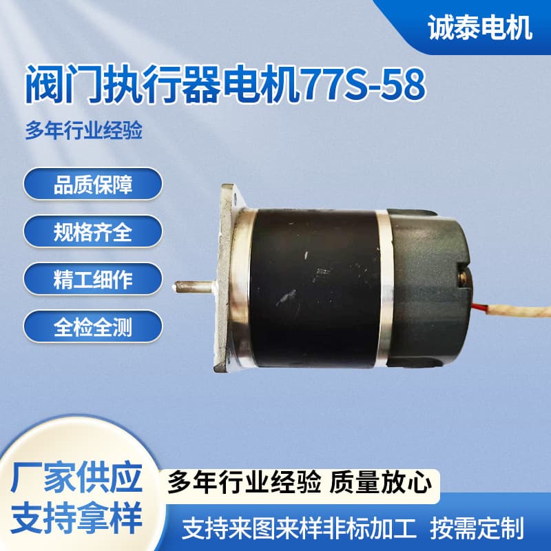Valve Actuator Motor 77S-58 Industrial Equipment Motor Gearbox Motor DC Motor