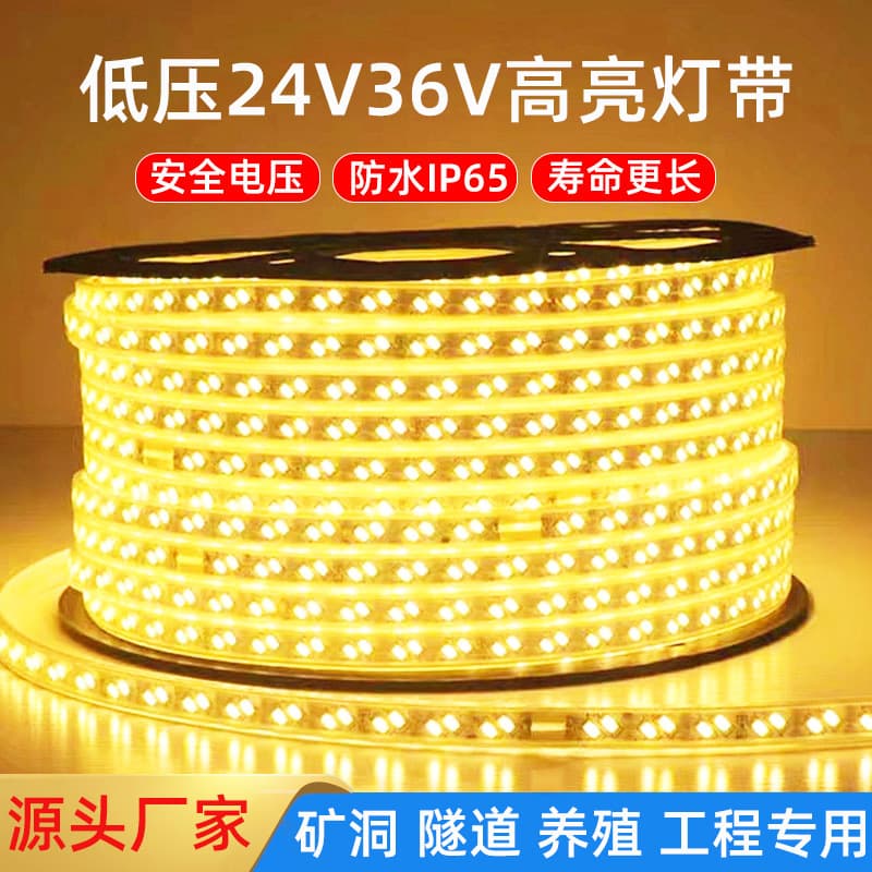 Low Voltage 24V/36V LED Strip, High Brightness 2835 Dual-Row Outdoor Project Waterproof Tunnel, Mine, Crane Ambient Light