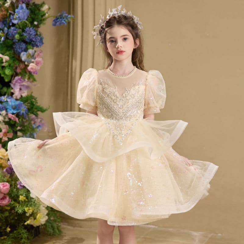Girls' Dress for Piano Performance, Flower Girl Dress, Little Girl Host Outfit, Children's Light Luxury Niche Princess Dress
