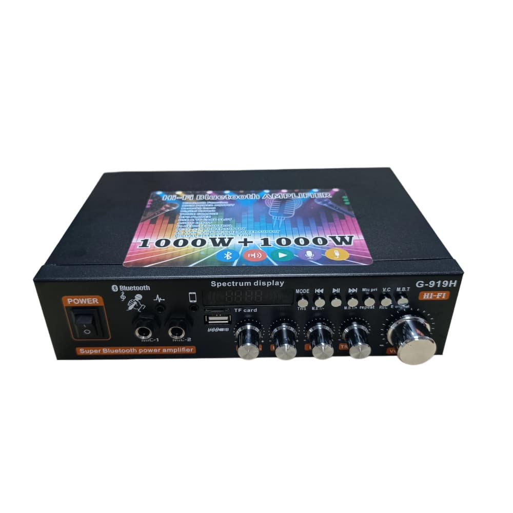 Mini Small Amplifier Speaker Power Amp with USB/SD Card, Radio, DC 12V/220V Bluetooth Amplifier
