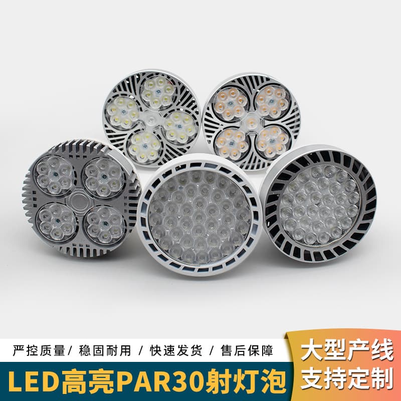 PAR LED Track Spotlight PAR30 Bulb Super Bright Commercial Shop Spotlight LED Track Light Wholesale