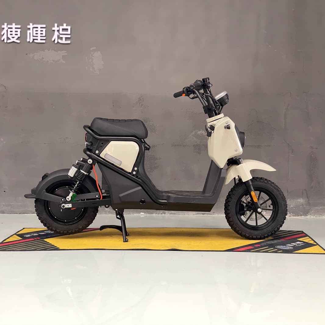 Export to Europe Stock Delivery Long-Range King Electric Scooter Electric Bicycle High-Speed High-Power Electric Motorcycle Long Range
