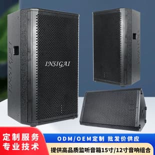 INSIGAI Professional Stage Audio 15-inch Full-Range Powered Speaker High-Power Sound System Cross-Border Direct Sales