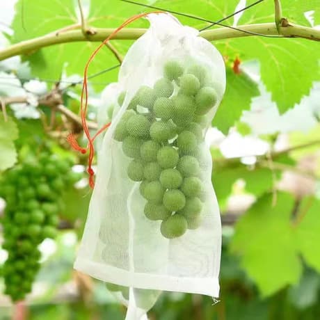 Open-air tie wire non-woven grape bagging, pomelo pear fruit protection bag, insect, bird, and rain-proof fruit set